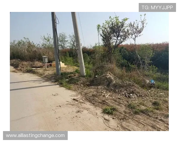 神殿手机登录遇到问题怎么办，常见故障排查与解决方案全解析